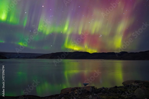 Northern lights in the glacier of Qaleraliq (South Greenland)	
 photo