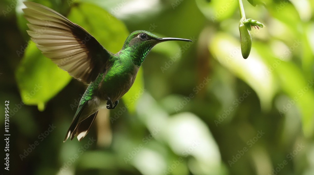 Fototapeta premium A vibrant hummingbird in mid-flight, surrounded by lush green foliage.