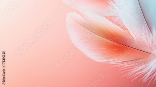 Feather abstract background concept. Delicate feathers against a soft pastel background, evoking calm and tranquility.