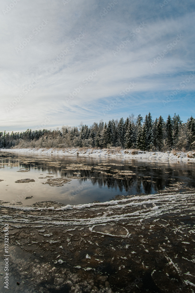 Fototapeta premium A winter landscape with a river with ice floes and a clear blue sky with snow-covered trees.