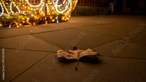 Dried leaf on London street 3