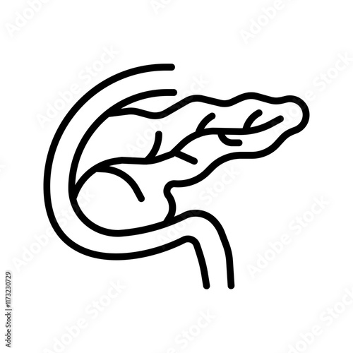 Endocrine System Vector Icon