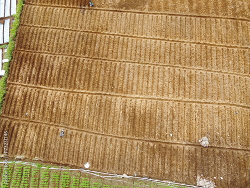 VEGETABLE GARDEN EXPANSION IN THE HIGHLANDS AT THE FOOT OF MOUNT SLAMET, PANDAN SARI VILLAGE, PAGUYANGAN, BREBES, INDONESIA photo