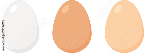 Set of chicken eggs in white, brown and light brown colors. Vector illustration with transparent background.