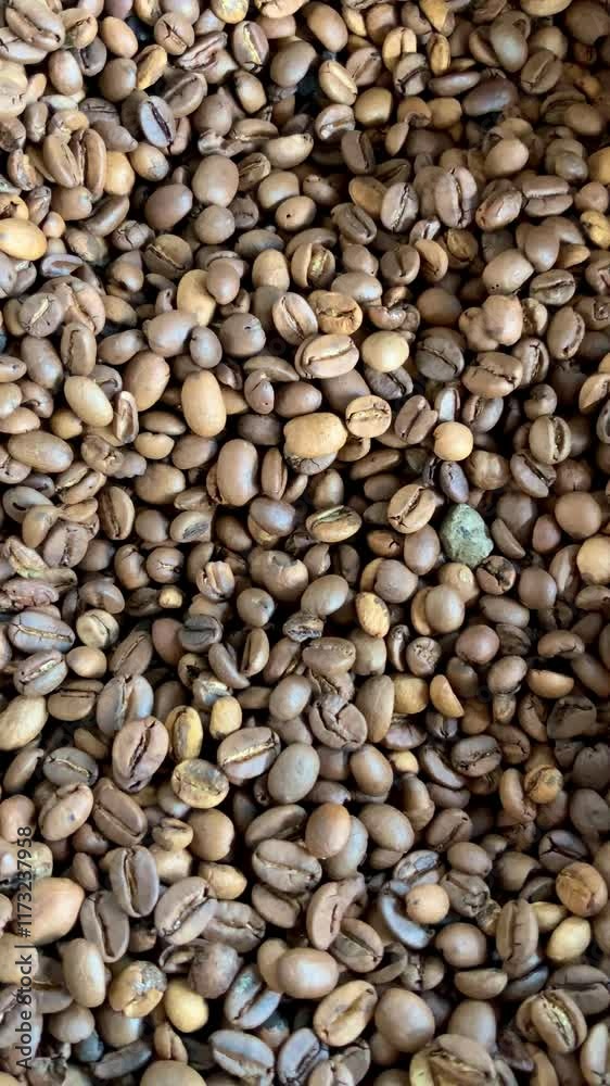 Close-up view of robusta coffee beans before roasting. Close-up view of robusta coffee beans before roasting.