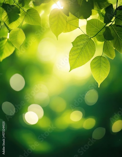 Sunlit Spring Leaves: Vibrant green leaves bathed in sunlight, bokeh effect, nature photography, springtime freshness 
