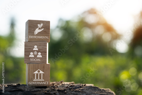 ESG environment, society and governance On wooden blocks with green background, business, investment, social governance, environment
