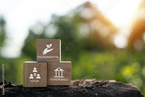ESG environment, society and governance On wooden blocks with green background, business, investment, social governance, environment