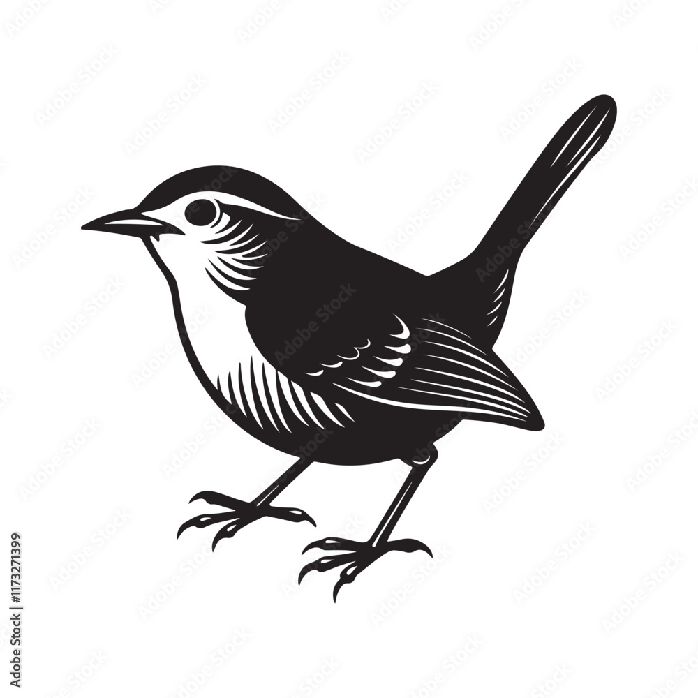 Obraz premium wren bird silhouette, black and white silhouette, vector and illustration