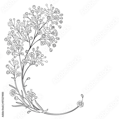 Corner bouquet of outline Gypsophila or Baby's breath flower bunch in black isolated on white background. 