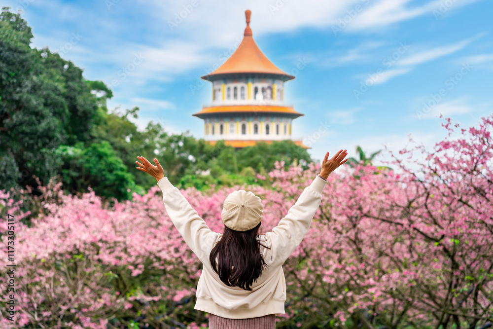 Obraz premium Young female tourist relaxing and enjoying the beautiful cherry blossom at Wuji Tianyuan temple in Taiwan
