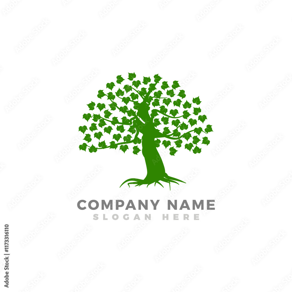 Obraz premium Oak tree logo design template