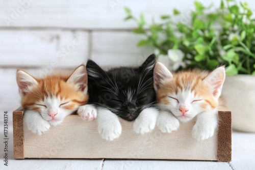 A group of tiny kittens cuddled together in a cozy pile, sleeping peacefully in a soft bed