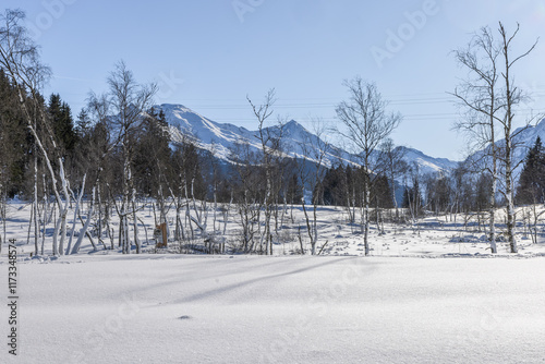 Winterlandschaft, Pinzgau, Zell am See, Pass Thurm photo