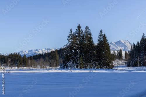 Wallpaper Mural Winterlandschaft, Pinzgau, Zell am See, Pass Thurm Torontodigital.ca