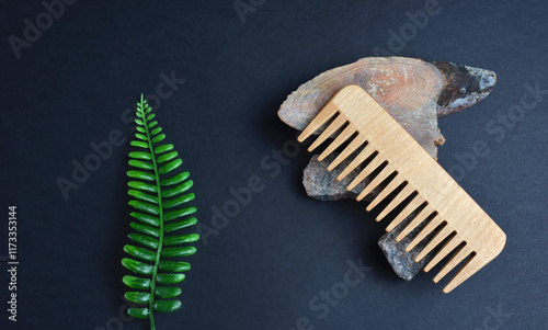 Comb and sea stones on a black background. Green fern. photo