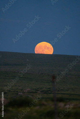 moon over the mountain 동산 위의 달