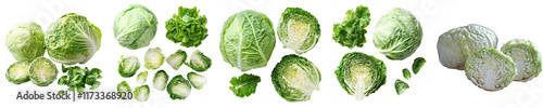 Assorted Cabbage Varieties  Green Cabbage  Savoy Cabbage  Brussels Sprouts  Whole and Halv photo