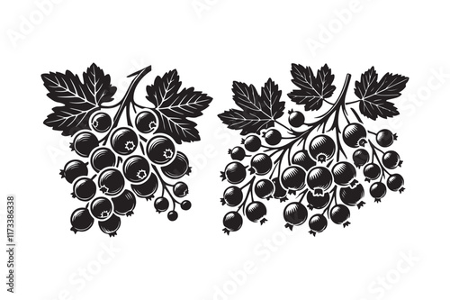 Elegant Black and White Silhouette of Gooseberry Branches