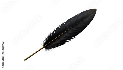 Elegant Black Feather with Gold Accent: A Dark, Artistic Still Life