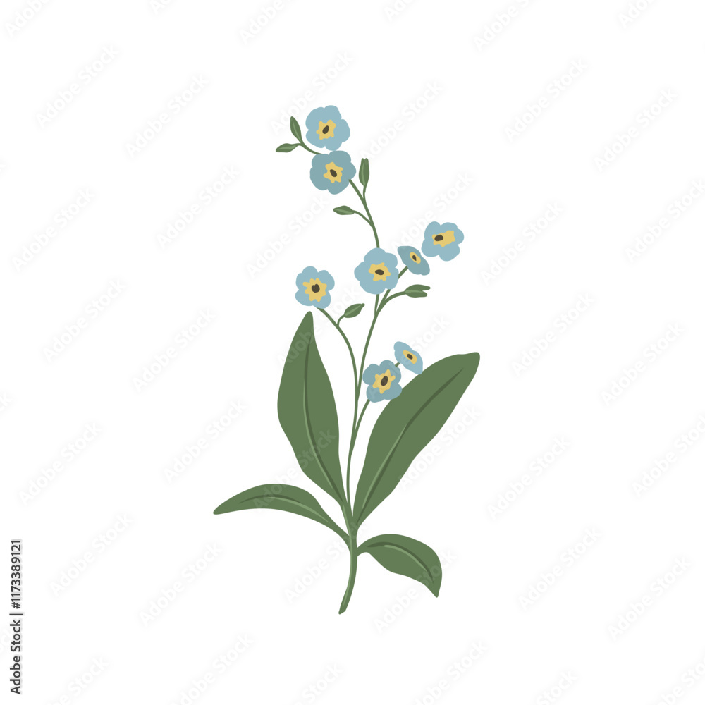 Flat vector forget-me-not flower drawing Flat vector forget-me-not flower drawing