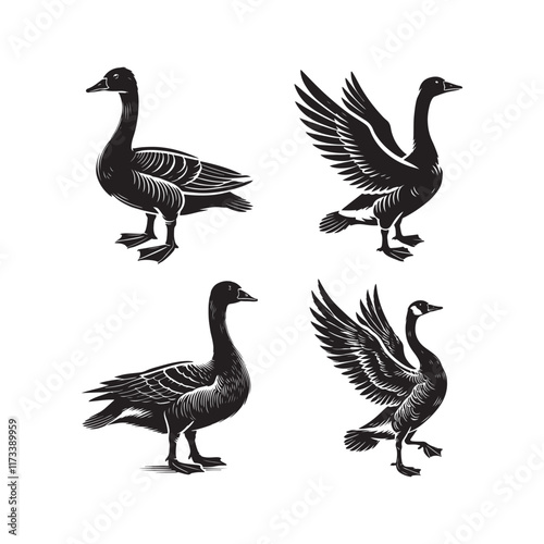 Four Silhouetted Canada Geese in Different Poses, This image features four stylized black silhouettes of Canada geese in various poses, including one with outstretched wings.