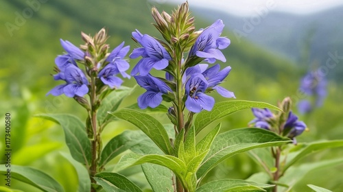 Close-Up of Vibrant Wildflowers in a Serene Meadow Setting photo