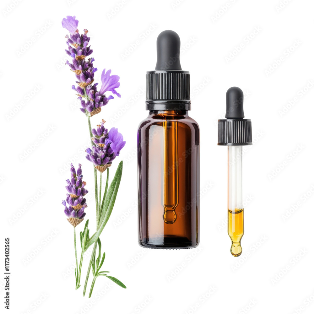 Lavender essential oil bottle with dropper and fresh lavender flowers Lavender essential oil bottle with dropper and fresh lavender flowers