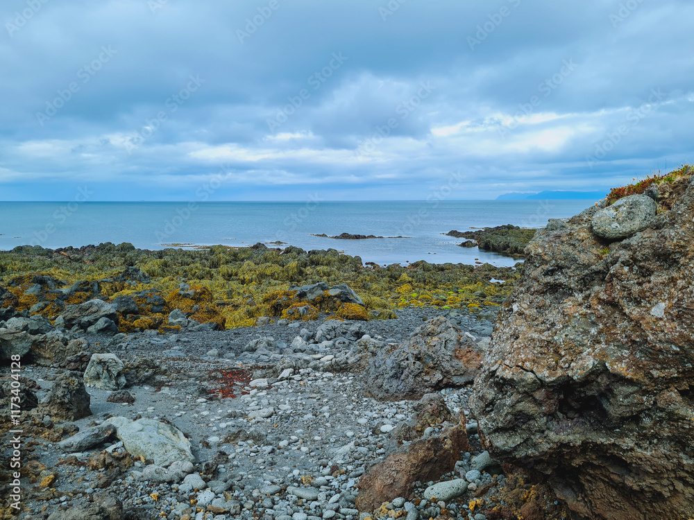 A vibrant coastal scene featuring a rocky shoreline covered in yellow and green seaweed, contrasting with smooth black stones. The distant Atlantic Ocean meets the cloudy horizon, creating a serene ye A vibrant coastal scene featuring a rocky shoreline covered in yellow and green seaweed, contrasting with smooth black stones. The distant Atlantic Ocean meets the cloudy horizon, creating a serene ye