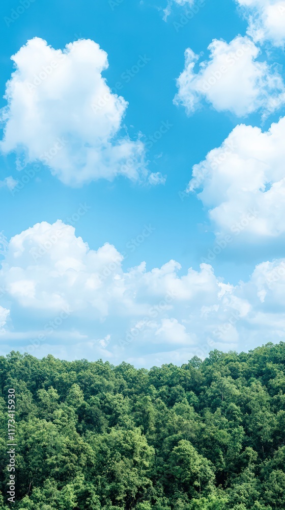 A serene landscape featuring lush green trees under a bright blue sky with fluffy white clouds. A serene landscape featuring lush green trees under a bright blue sky with fluffy white clouds.