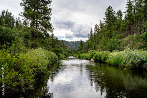 The Black River in Northeastern Arizona, Apache County. In my opinion one of the more beautiful & remote parts of Arizona. Captured in July. 