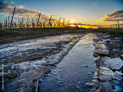 Gefrorener Pfad im Morgenlicht.
Ein vereister Feldweg reflektiert die ersten Strahlen der aufgehenden Sonne, eingerahmt von kahlen Weinreben und einem klaren Himmel.
 photo