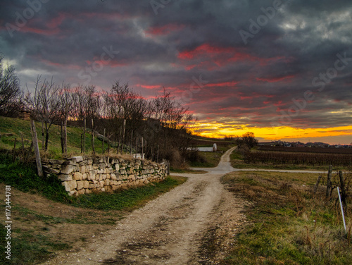 Morgenstimmung am Weinkeller
Ein alter Weinkeller mit gemauertem Eingang liegt friedlich am Feldweg. Die ersten Strahlen der aufgehenden Sonne tauchen den Himmel in warme Farben. photo