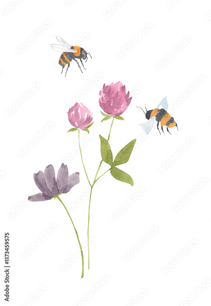 Obraz premium Watercolor illustration of hand drawn wildflowers bouquet of clever with bees on isolated white background. Meadow flowers composition with plants. Perfect for wedding invitations, birthday postcards
