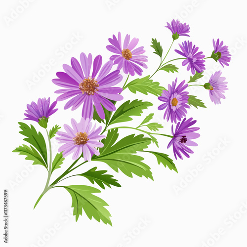 Vintage design with chrysanthemum flower head vector illustration (1)