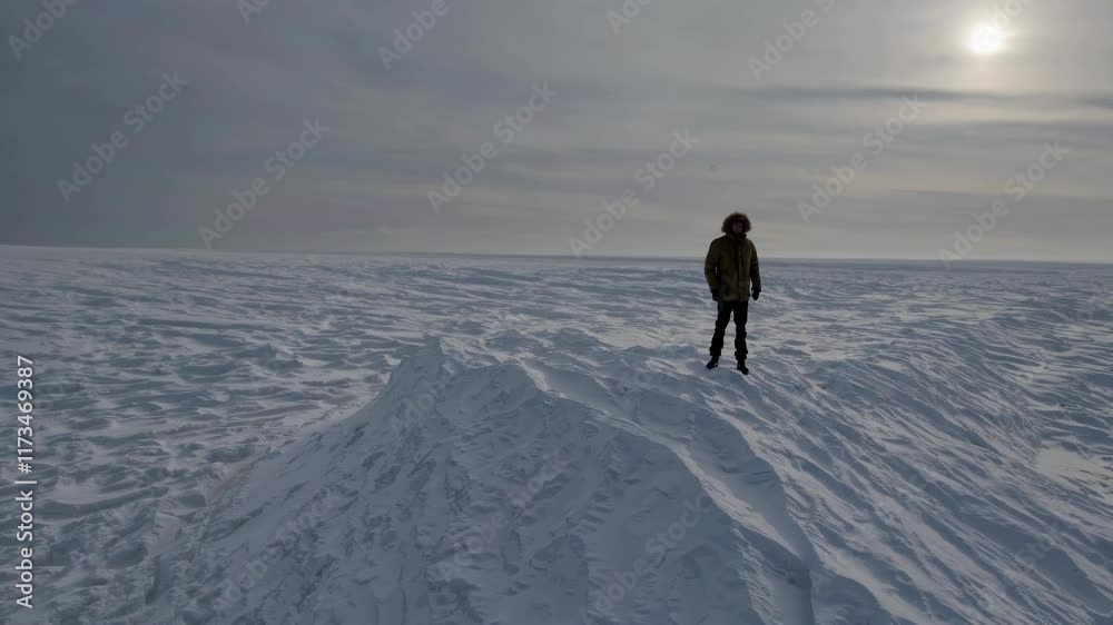 Snowswept Wilderness with Solitary Figure Snowswept Wilderness with Solitary Figure