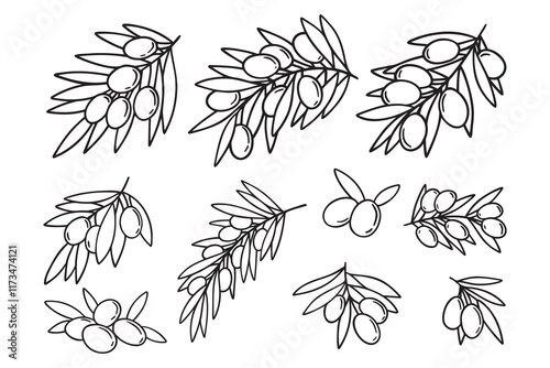 olive branch isolated doodle hand drawn on white background set. Outline drawing olive tree branch for menu, logo, greeting cards
