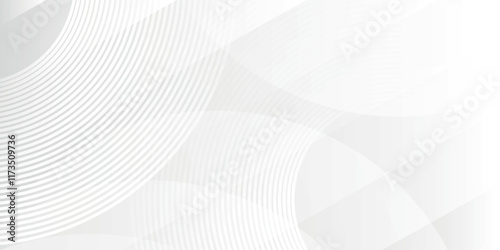 Abstract minimalist white and gray curve modern background. texture white pattern.