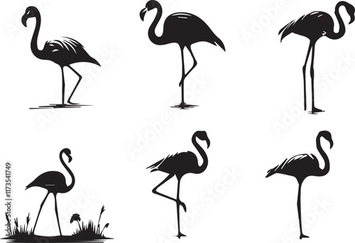  Flamingos silhouette vector EPS SET