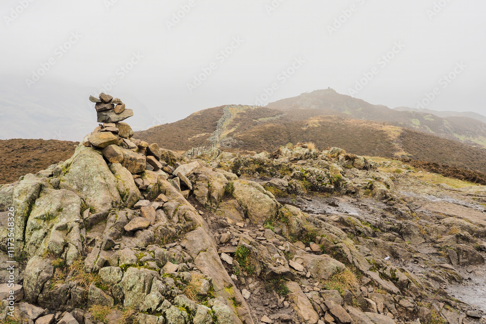 Fototapeta premium View from the top of Lingmoor Fell, Great Langdale, Lake District, UK