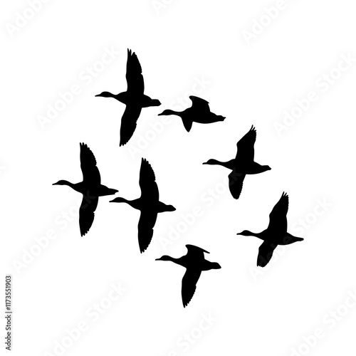Mallard duck silhouette flying vector illustration design on white background.
