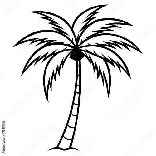 palm tree silhouette