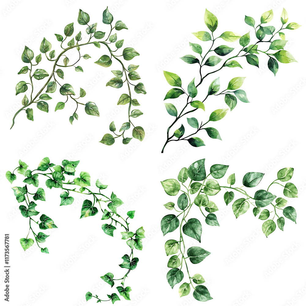 Elegant greenery collection nature art botanical illustrations clean background close-up natural beauty