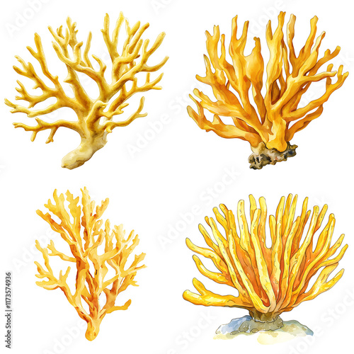 Colorful coral varieties underwater ecosystem illustration marine environment close-up ocean biodiversity photo