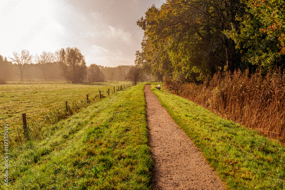 Picturesque nature reserve on a morning in the autumn season. A narrow unpaved footpath leads to a simple wooden bench. The sun is still low in the sky and it is partly cloudy.