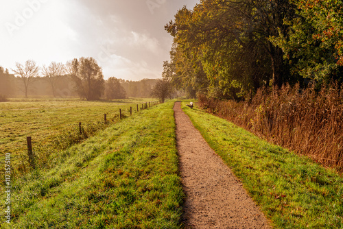 Obraz na płótnie Picturesque nature reserve on a morning in the autumn season. A narrow unpaved footpath leads to a simple wooden bench. The sun is still low in the sky and it is partly cloudy. w salonie
