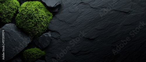 Panel kuchenny z motywem A black background with green moss growing on it