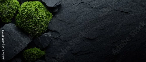 Panel kuchenny z motywem A black background with green moss growing on it