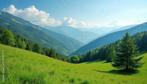 Wallpaper Mural Stock photo shows a tranquil mountain landscape with rolling hills fresh green trees and clear blue skies creating a peaceful and refreshing atmosphere. Torontodigital.ca