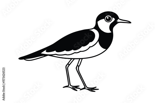  cute-lapwing-cartoon